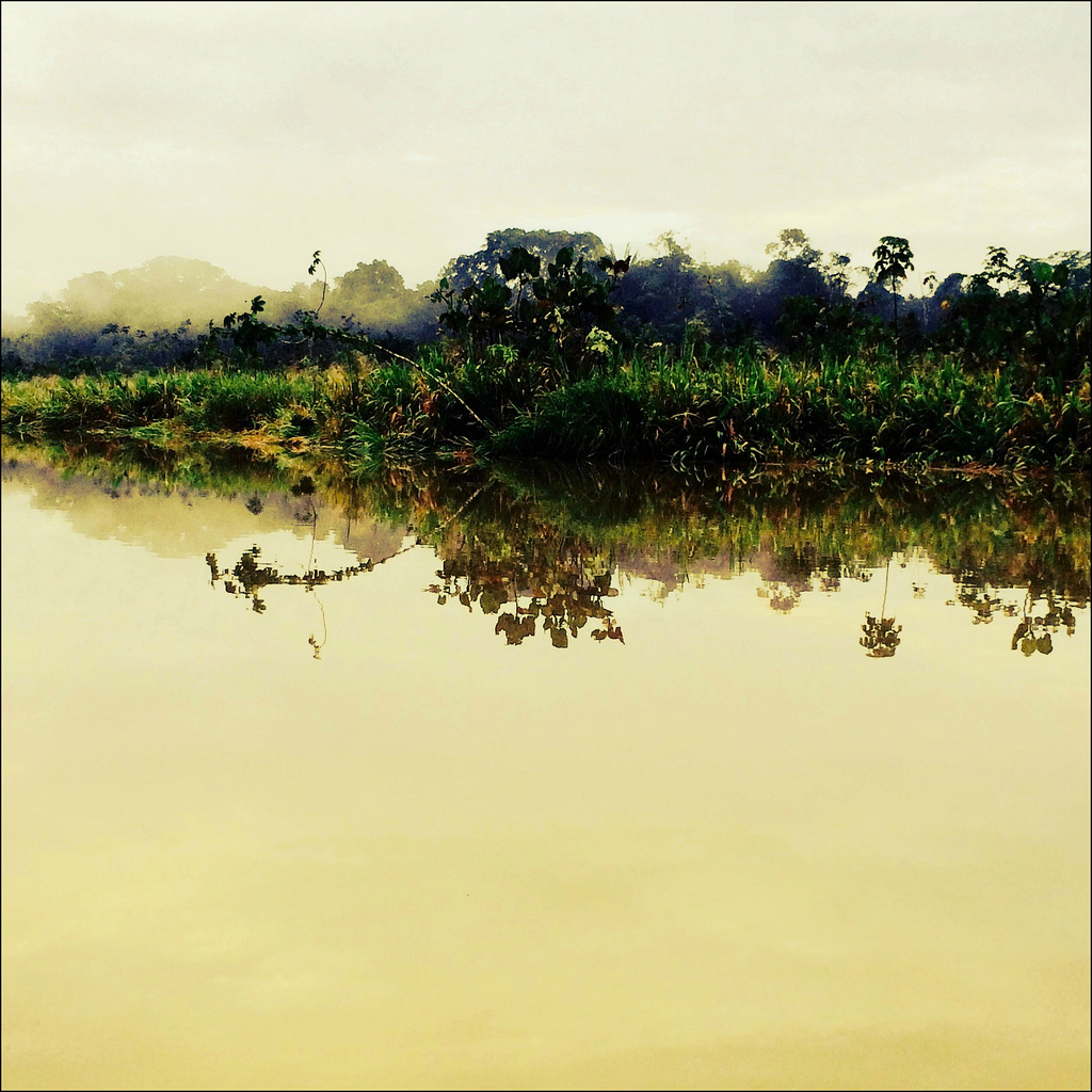 A soft amazonian morning.