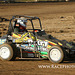 IMG 8801 copy