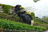 Bumble Bee At The Eden Project