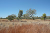 Colours Of The East Kimberley