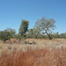 Colours Of The East Kimberley