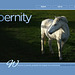 ipernity homepage with #1641