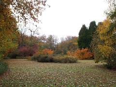 Anglesey Abbey 2011-11-04 053