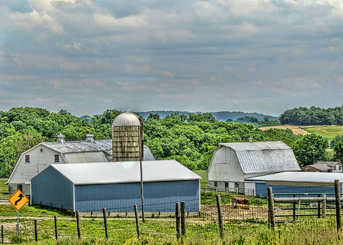 farmhouse-ebay8x11