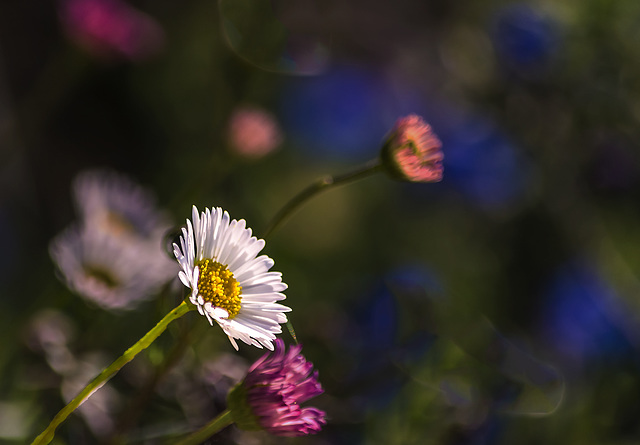 Con la llegada de la primavera