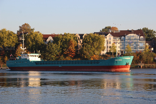 ELVI KULL