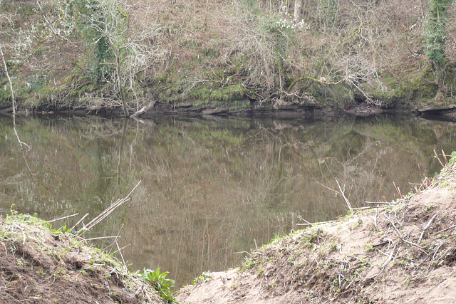 Reflections In The Clyde