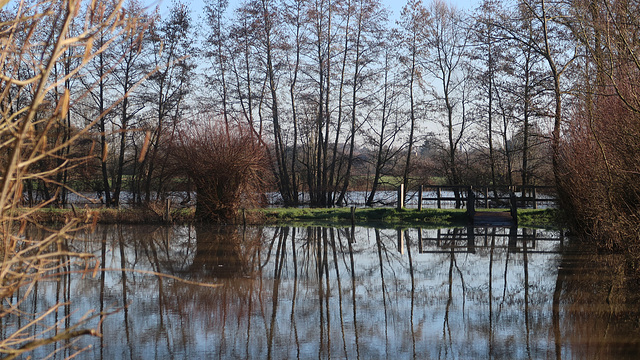 Quand la rivière déborde ...