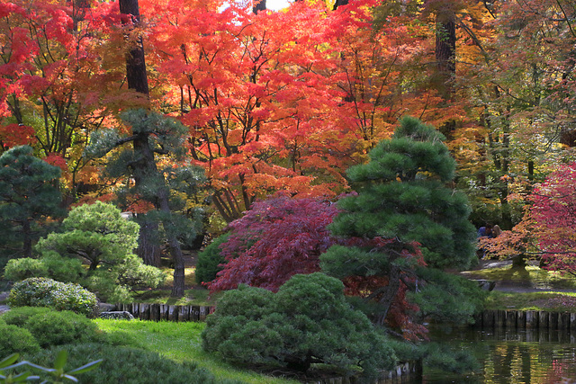 Japanese Garden