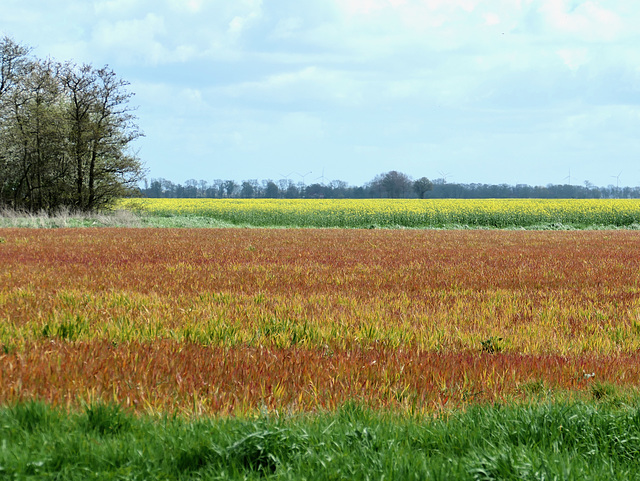 Überraschend farbige Landschaft