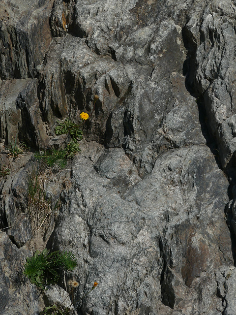 20240826 -0903 Valgaudemar (Ecrins) (506)