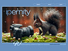 ipernity homepage with #1647