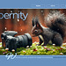 ipernity homepage with #1647