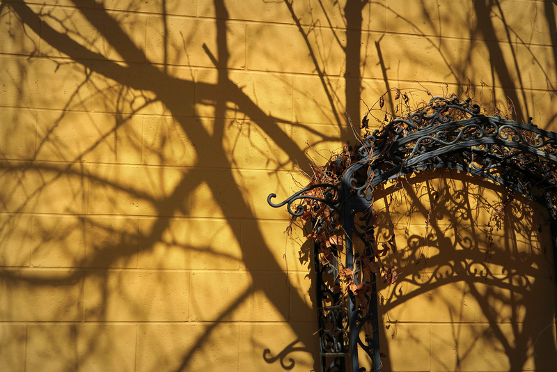 Orange Wall & Shadows