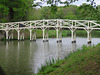painshill park (19)