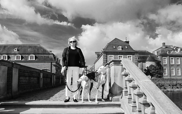Edle Windhunde vor nobler Kulisse Edle Windhunde vor nobler Kulisse