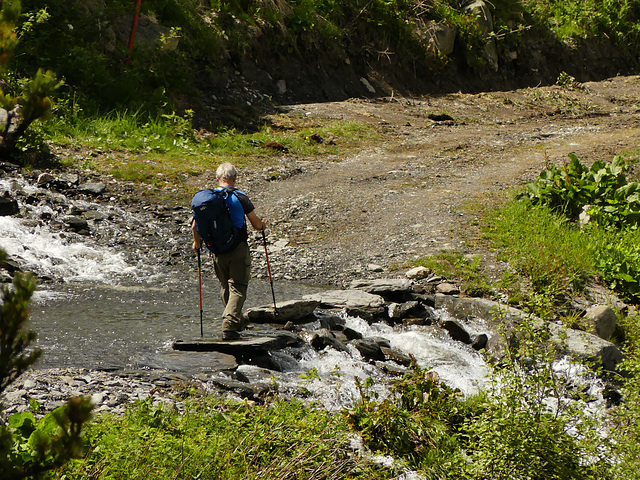 20160611 -18 Rando Meribel Les allues Jour5 (165)