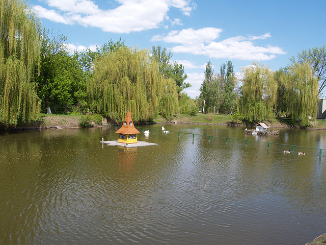 Легендарная Миргородская лужа