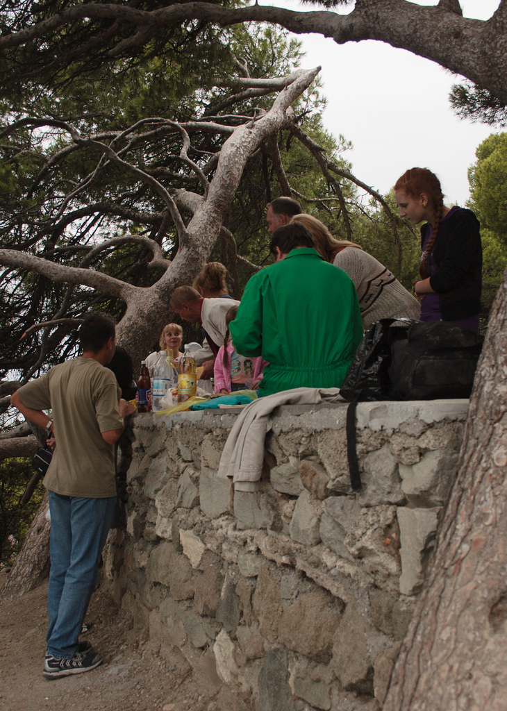 Picnic