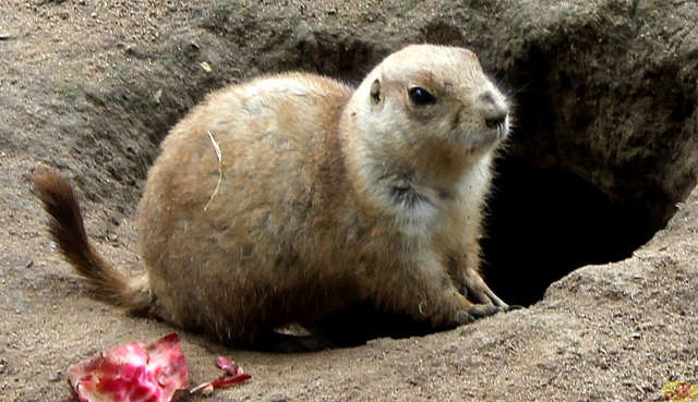 2023-05-07 17 Ea Zoo