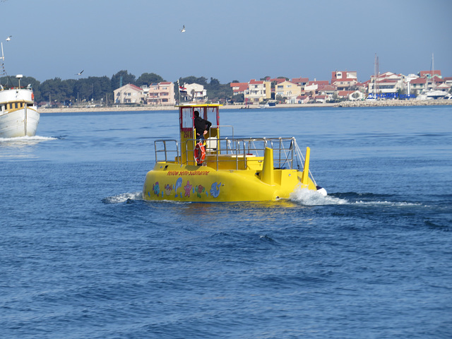 Zadar : yellow submarine.