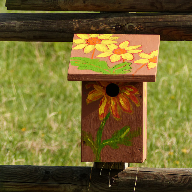 Nest box, decorated with care