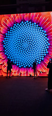 EDEN interactive light show