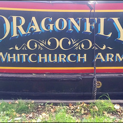 Dragonfly - Whitchurch Arm