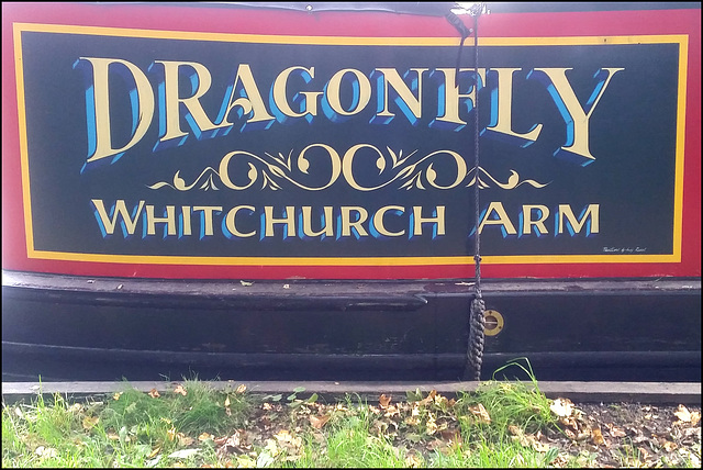 Dragonfly - Whitchurch Arm