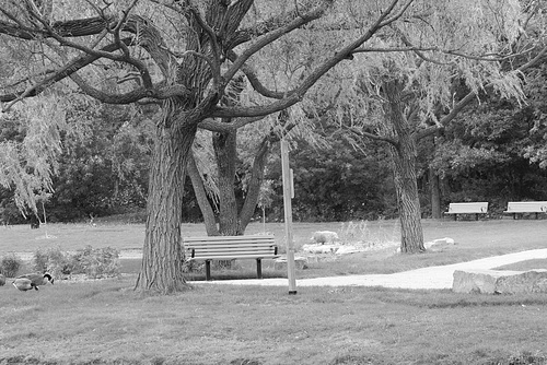 Black & white friday