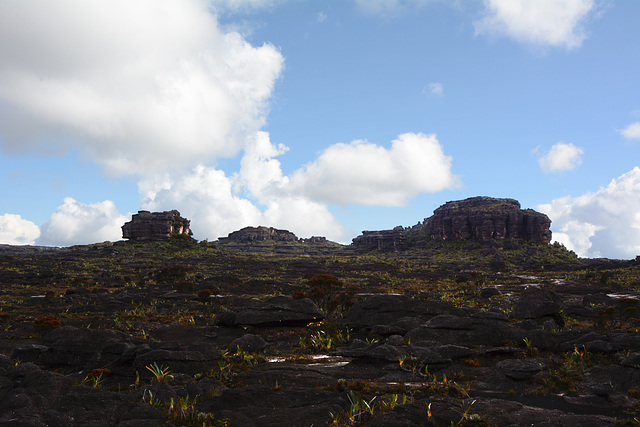 Venezuela, The Flat Surface of the Roraima Plateau