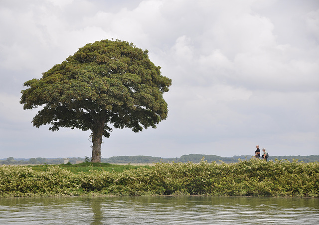 Saint Valéry sur Somme