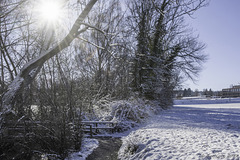 WInterspaziergang bei Münsterlingen (© Buelipix)