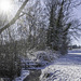 WInterspaziergang bei Münsterlingen (© Buelipix)