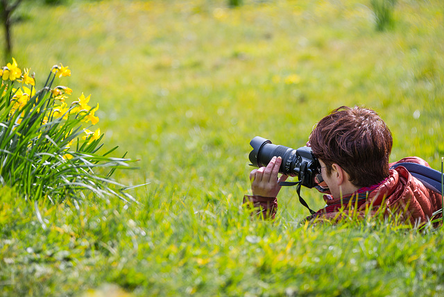 Fotografieren - 20160316