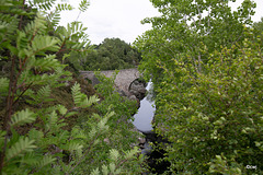 Dulsie Bridge