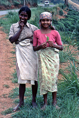 Teepflückerinnen auf Sri Lanka 1982