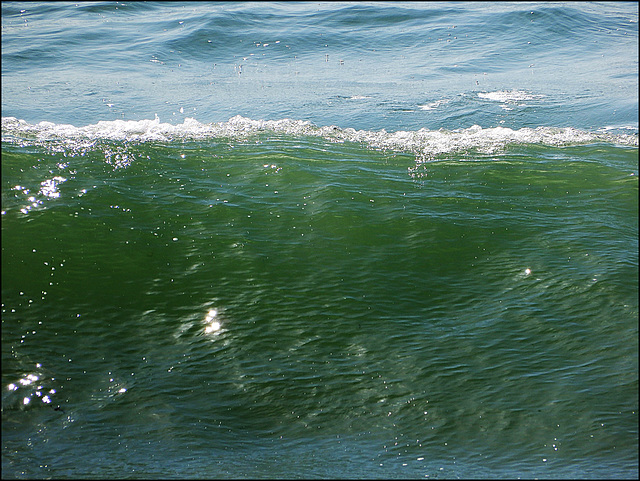 au  creux de la vague