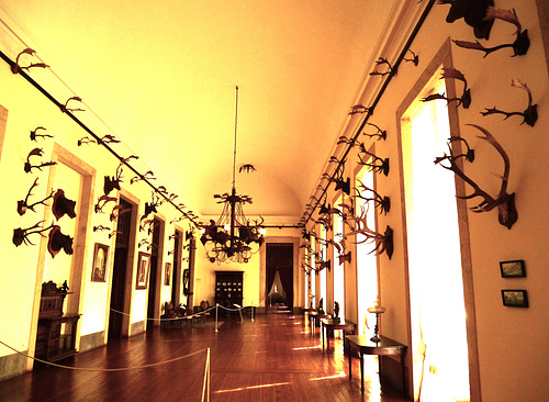 Sala da Caça - Mafra