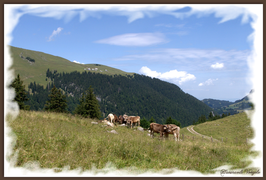 Friedliches Alpleben