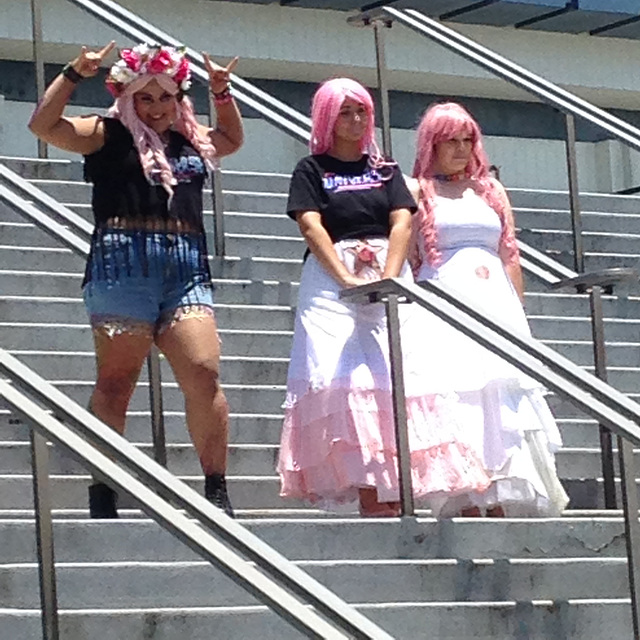 Cosplay at Anime Expo 2015: Rose Quartz