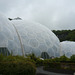 Biodomes At The Eden Project