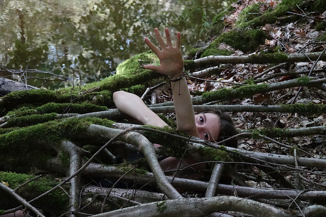 Prisonnière des racines d'un arbre .
