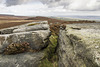 Summit rocks of Houndkirk Edge looking NE to Houndkirk Hill