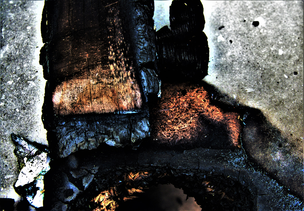 Among The Burnt Embers