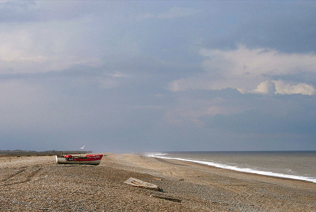 Blakeney Point, north Norfolk, England