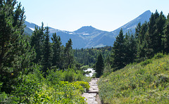 Glacier NP Redrock Falls trail & gun (#0272)