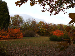 Anglesey Abbey 2011-11-04 049