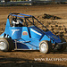 IMG 8810 copy