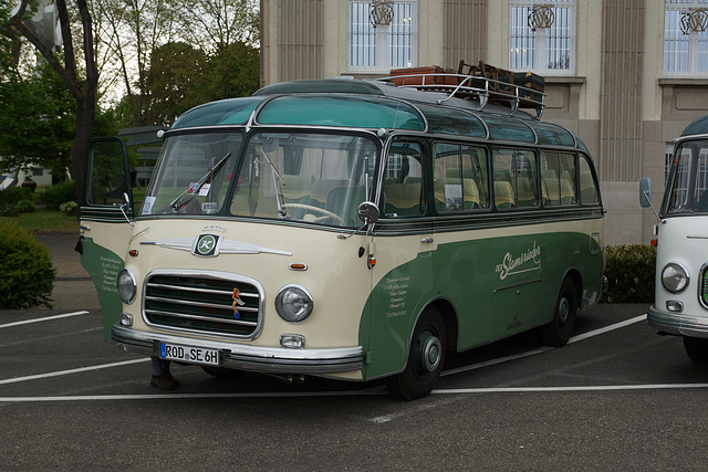 Omnibustreffen Sinsheim/Speyer 2017 534